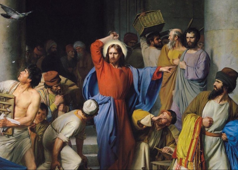 Cleansin Original Crop